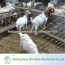 Herbivore Enclosure Stainless Steel Wire Rope Mesh